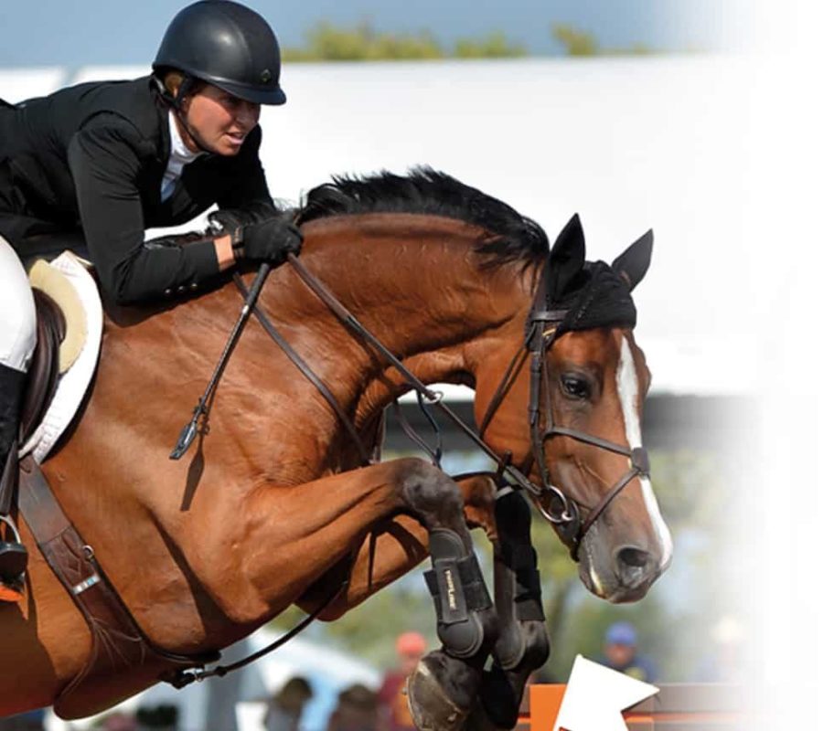 Technology - Charles Owen riding helmets