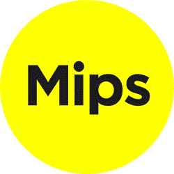 Mips discount helmet explained